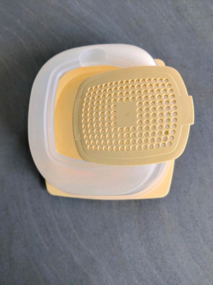 Tupperware Käse Max in Auenwald