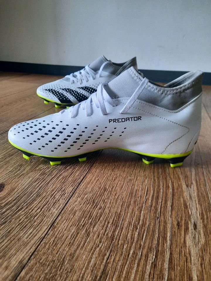 Adidas Predator Accuracy. 4 in Rheine