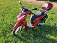 HONDA SH125i  Farbe: Pearl Splendor Red EZ 02.2022 Niedersachsen - Winsen (Luhe) Vorschau