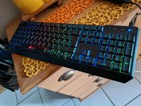 Wireless Gaming Tastatur RGB - kabellos und leise Hadern - Blumenau Vorschau