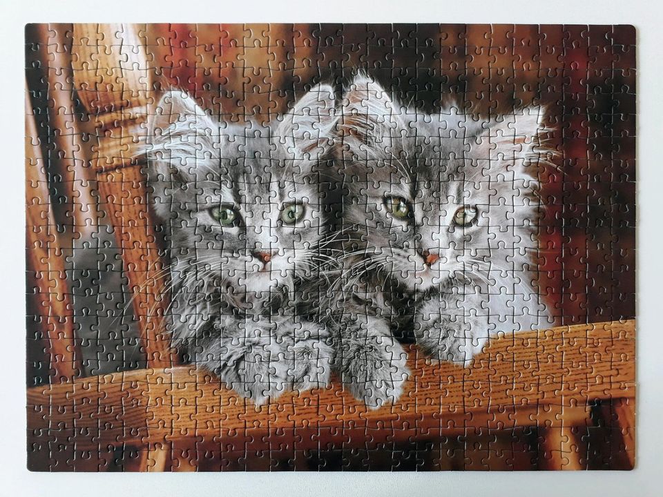 Puzzle Clementoni 500 Teile Katzenpuzzle Katzen Katze Puzzel in Wedel