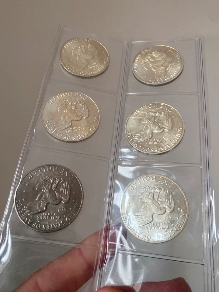 Original Silbermünzen 10 walking liberty und 6 eisenhower in Mainz