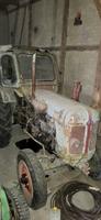 Famulus RS 14/30 Fortschritt DDR IFA Traktor Schlepper Sachsen - Grimma Vorschau
