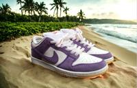 Nike SB Dunk Low Iso Pro 'Court Purple' Gr. 42,5 Bremen - Vegesack Vorschau