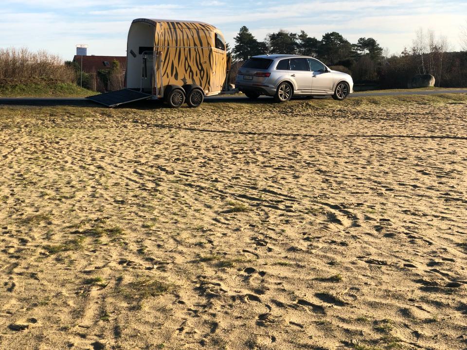 Pferdeanhänger Böckmann Anhänger mieten 2.400 kg Verleih in Ganderkesee