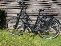 E-Bike Winora C1, 28 Zoll (ohne Akku) Sachsen - Neustadt Vorschau