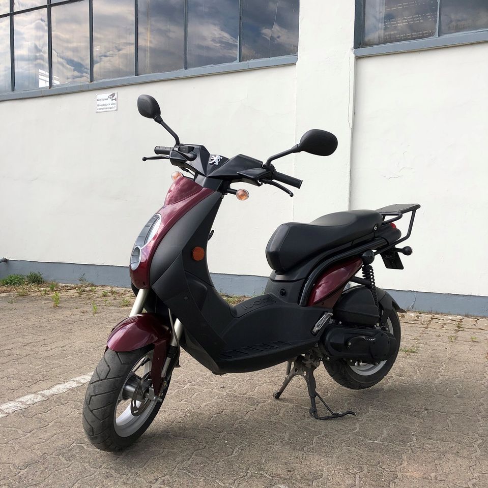 Motorroller Vermietung Wittenberge - Moped mieten in der Prignitz in Wittenberge