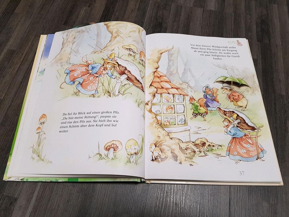 Kinderbuch "Geschichten aus dem Zauberwald" inkl. 2 Audio-CDs in Gaimersheim