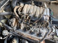 Toyota Land Cruiser 100 Motor 4.7 V8 HDJ  2UZFE Mecklenburg-Vorpommern - Seebad Ahlbeck Vorschau