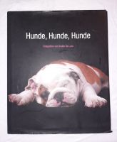 Hunde Hunde Hunde - Fotografien von Araldo da Luca Niedersachsen - Winsen (Luhe) Vorschau