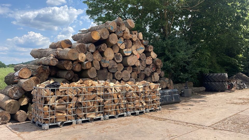 Brennholz Buche frisch Ofenfertig gespalten ✅ in Minden