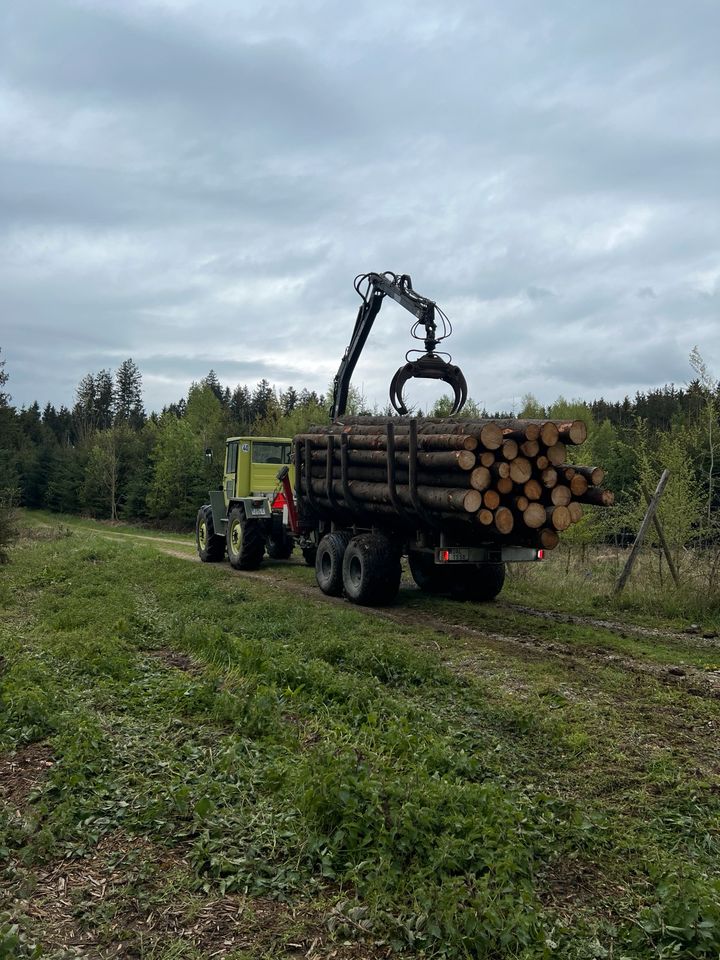 Holzrücken Holztransport in Oberostendorf