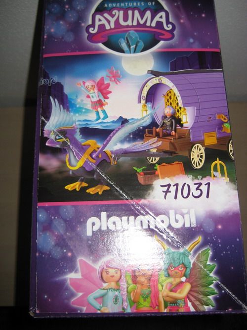 Playmobil (71031) Adventures of Ayuma – Feen-Kutsche mit Phoenix in Mainhausen