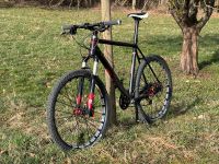 Carver Pure 160 Hardtail 56 cm X9 Magura MT8 Mavic Crossmax SLR Baden-Württemberg - Denkendorf Vorschau