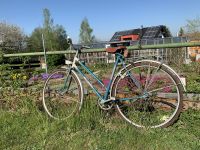 Damen Fahrrad mifa 40 Jahre alt Sachsen - Netzschkau Vorschau