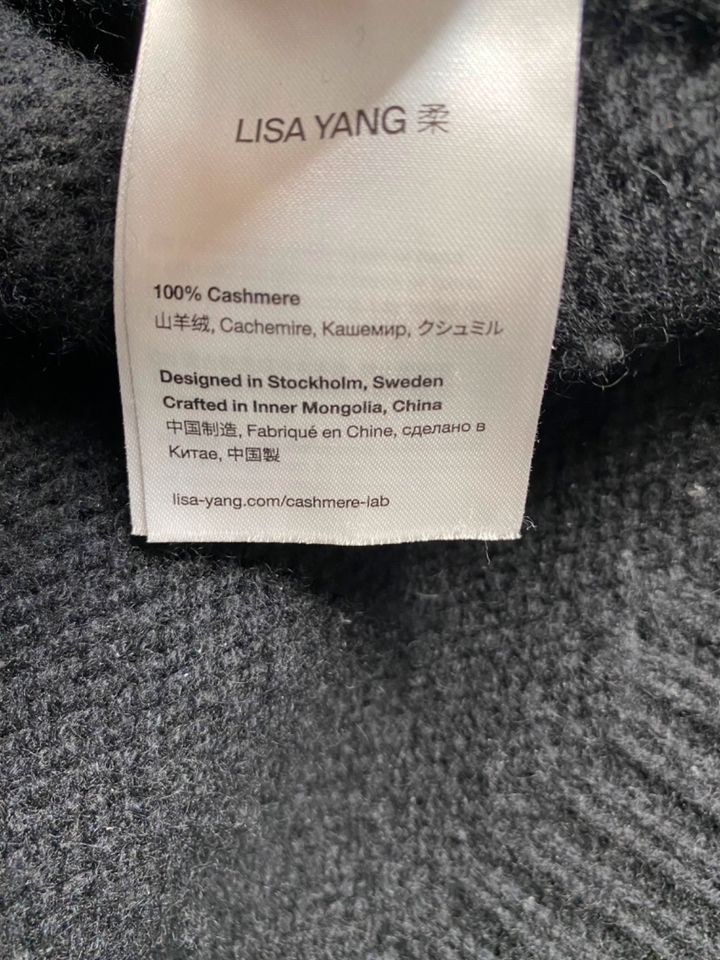 Lisa Yang Noor Kaschmirpullover in Hamburg