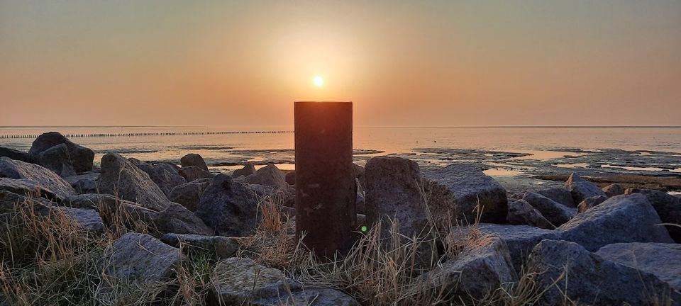 Urlaub m. Hund Sauna Nordsee Ferienwohnung Ferienhaus Fewo in Friedrichskoog