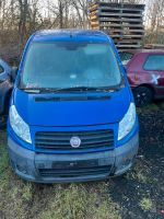 Fiat Scudo Schlachtfest Burglesum - Burg-Grambke Vorschau