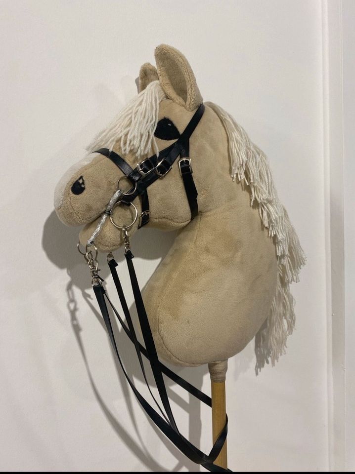 8. Hobby Horse// finnische Hobby Horse in Freiburg im Breisgau