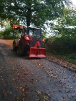 Holz Rücken Bäume abnehmen lohn Schleswig-Holstein - Kletkamp Vorschau