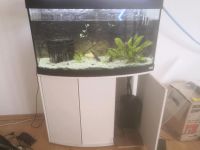 Aquarium komplett mit Unterschrank Sachsen-Anhalt - Magdeburg Vorschau