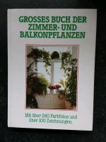 Gartenbuch + Buch  Zimmerpflanzen Nordrhein-Westfalen - Tönisvorst Vorschau