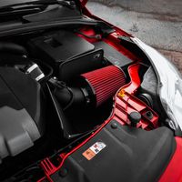 DZA Ansaugsystem/Sportluftfilter-set Ford Focus MK3 RS 2.3 2016+ Mecklenburg-Vorpommern - Löcknitz Vorschau