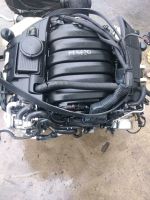 MOTOR PORSCHE PANAMERA CXP  M48.40 400PS 29TKM komplett Sachsen - Dippoldiswalde Vorschau