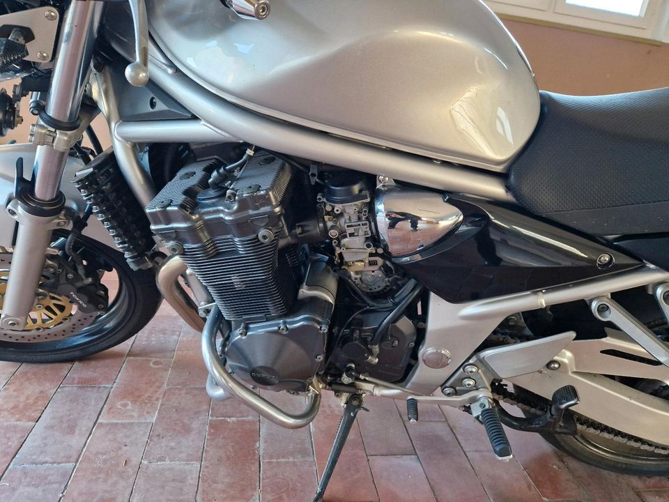 Gepflegte Suzuki Bandit, erst 10.000 km! in Preußisch Oldendorf