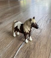 Shetland Pony Hengst | Schleich Pferd Niedersachsen - Rühen Vorschau