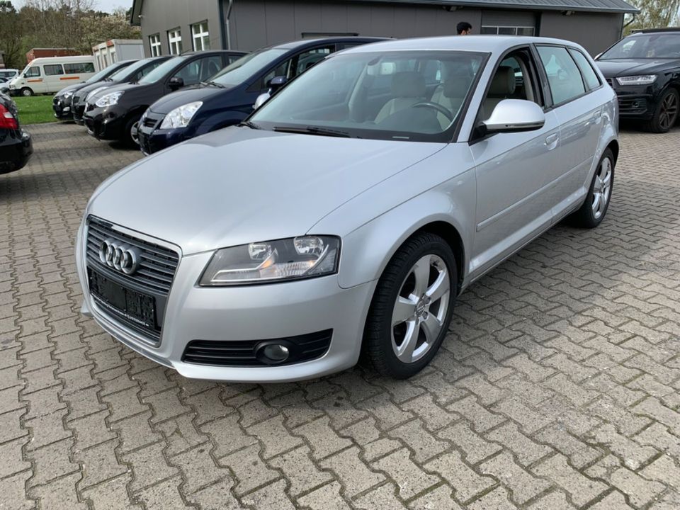 Audi A3 1.6 Ambiente Automatik in Papenburg