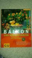 Balkon und kübelpflanzen für Einsteiger, garten, Pflanzen Nordrhein-Westfalen - Frechen Vorschau