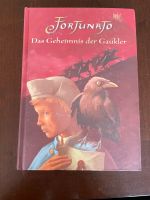 Jugendbuch - Das Geheimnis der Gaukler Brandenburg - Cottbus Vorschau