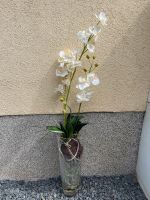 70cmKünstliche Orchidee in Glas Vase/ Wurzeleffekt/ Dunst/ Neu Schwarzatal - Oberweißbach Vorschau