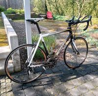 Re nrad XL Carbon Nordrhein-Westfalen - Hamm Vorschau