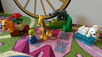 ✿  LEGO DUPLO 4962 Tierbabys, selten ✿ Elefant Eisbär Löwe Zoo ✿ Brandenburg - Woltersdorf Vorschau