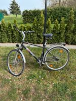 Fahrrad Herren zu verkaufen Brandenburg - Hohenleipisch Vorschau