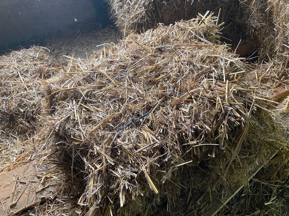 Kleine HD Strohballen in Lampertswalde bei Großenhain