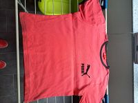 Puma T-shirt Gr. L Baden-Württemberg - Flein Vorschau