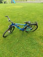 Kinderfahrrad Pegasus 26 Zoll Niedersachsen - Wittingen Vorschau