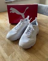neuer Sneaker von Puma Dresden - Strehlen Vorschau