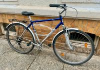 28 Zoll Fahrrad/ Pegasus - Singlespeed Leipzig - Leipzig, Südvorstadt Vorschau