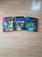 Bücher "Fünf Freunde" von Enid Blyton Baden-Württemberg - Oberboihingen Vorschau