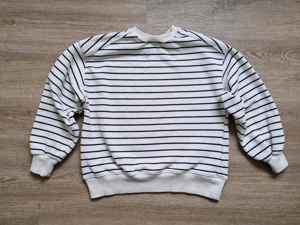 Zara Pullover Größe 152 in Osnabrück