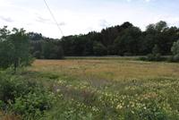 Schönes Baugrundstück in Steinebach Rheinland-Pfalz - Steinebach (Sieg) Vorschau