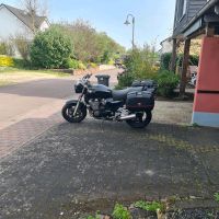 Yamaha XJR 1200  zu verkaufen Rheinland-Pfalz - Föhren bei Trier Vorschau