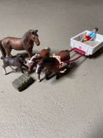 Horse Club/Schleich Pferde Set Nordrhein-Westfalen - Hellenthal Vorschau