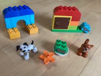 Duplo Set 10570 Hund Katze Futternapf Au i.d.Hallertau - Au Vorschau