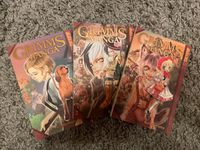 Grimms Manga (Kei Ishiyama) | komplett + Sonderband Nordrhein-Westfalen - Blankenheim Vorschau