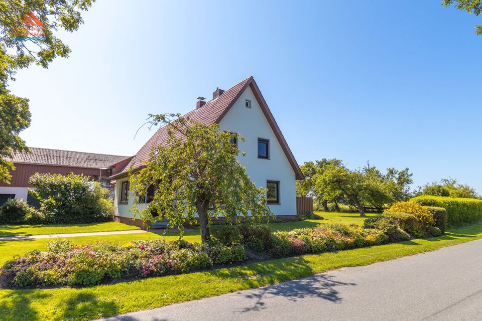 Zweifamilienhaus auf Resthof am Elbdeich + möglichem Pachtland - ruhige Lage in Neuhaus